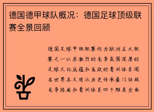 德国德甲球队概况：德国足球顶级联赛全景回顾